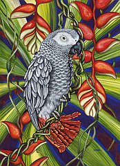 Bird 12
